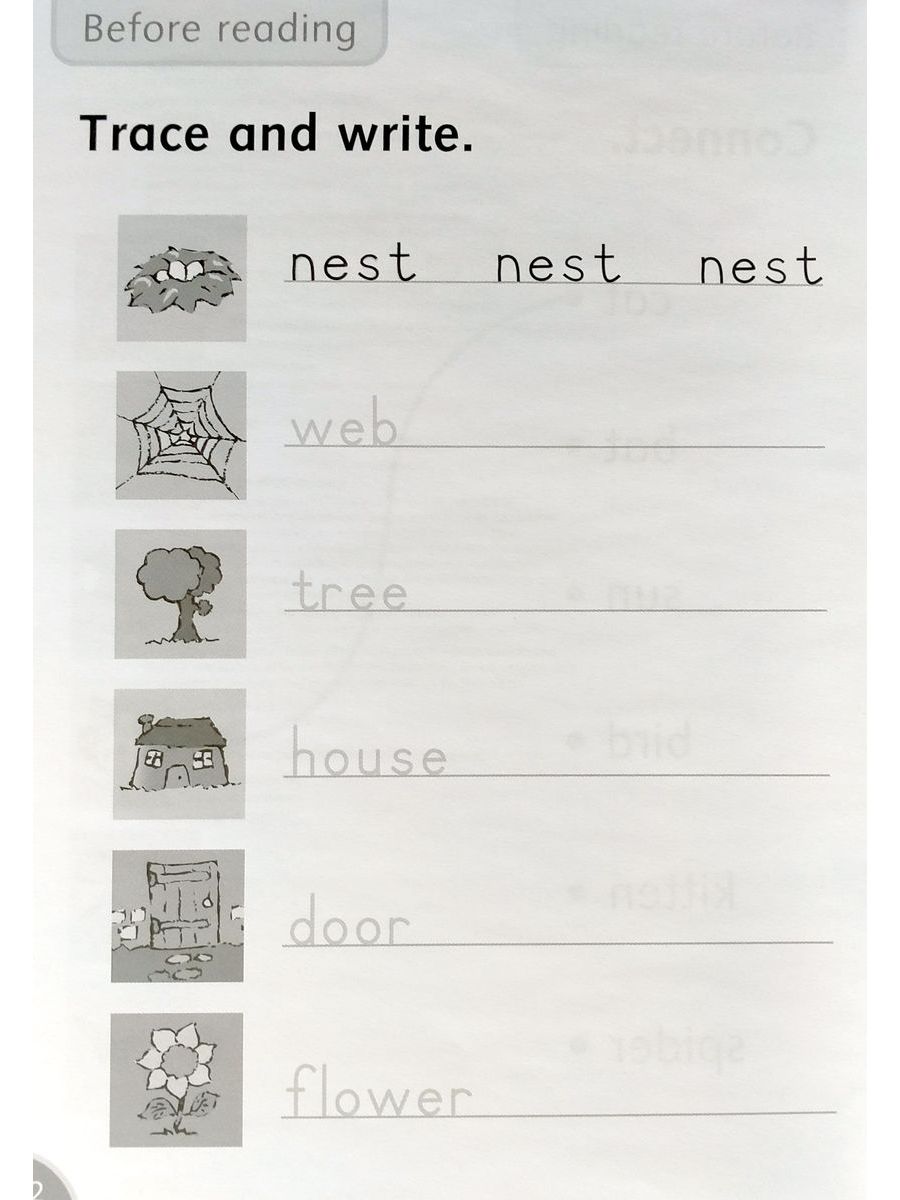 Dolphin Readers 1 Lost Kitten Activity Book