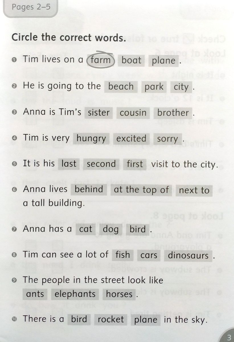 Dolphin Readers 4 City Girl, Country Boy Activity Book