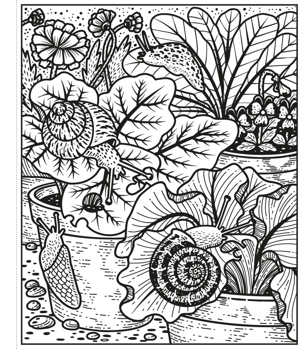 Usborne Garden Magic Painting Book