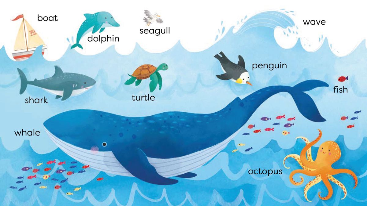 Usborne First Words Book