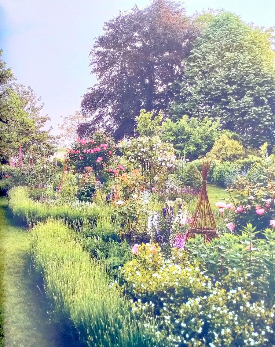 Flower Couture From My Garden to My House