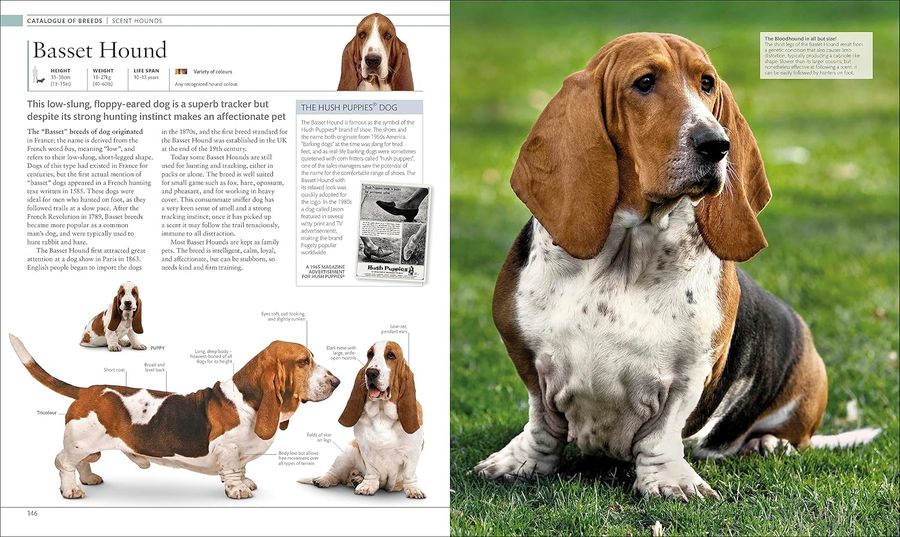 The Dog Encyclopedia The Definitive Visual Guide