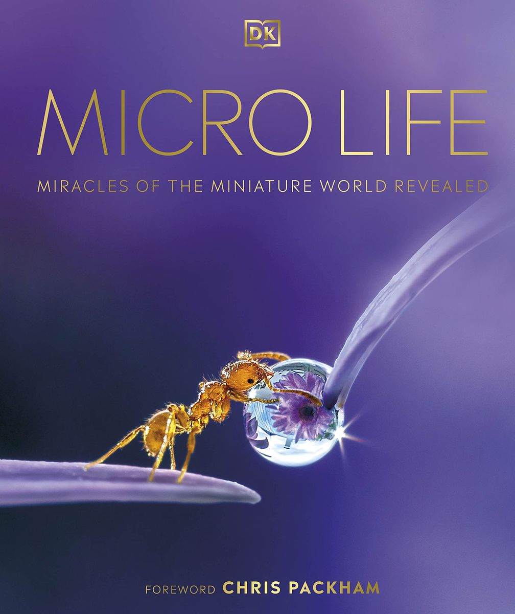Micro Life Miracles of the Miniature World Revealed