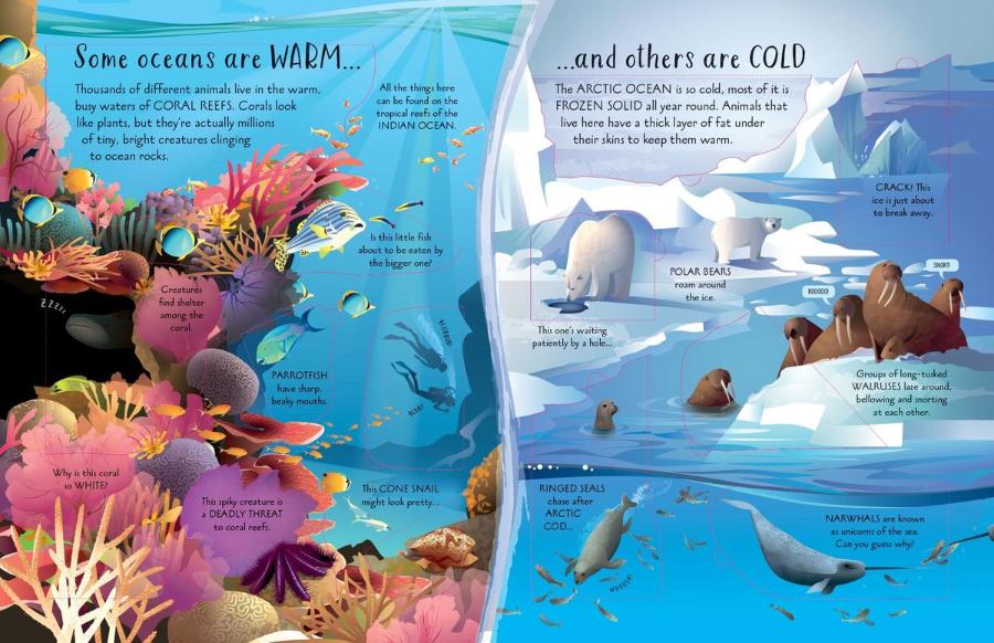 An Usborne Flap Book See Inside Oceans