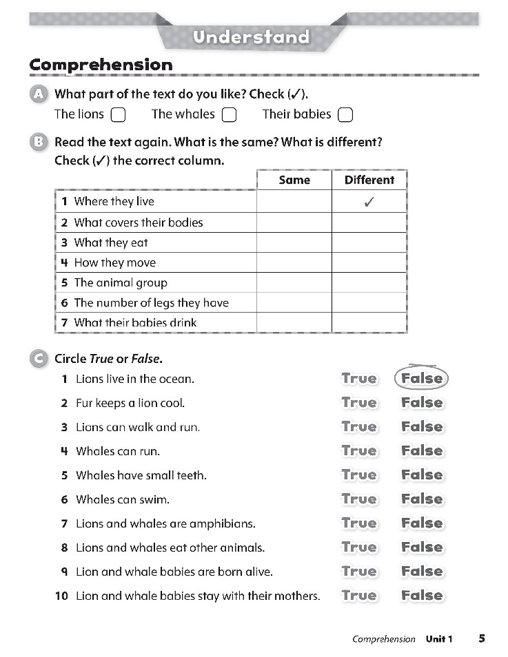 Oxford Discover 2 Workbook