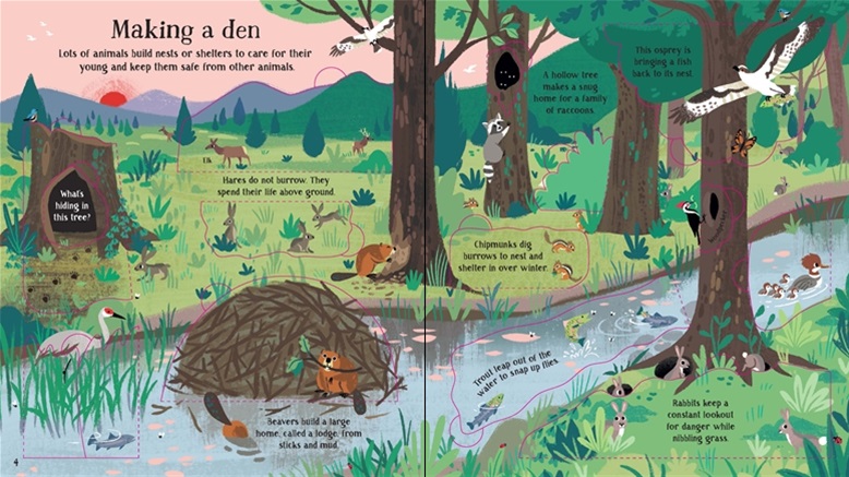 Usborne Look Inside Nature