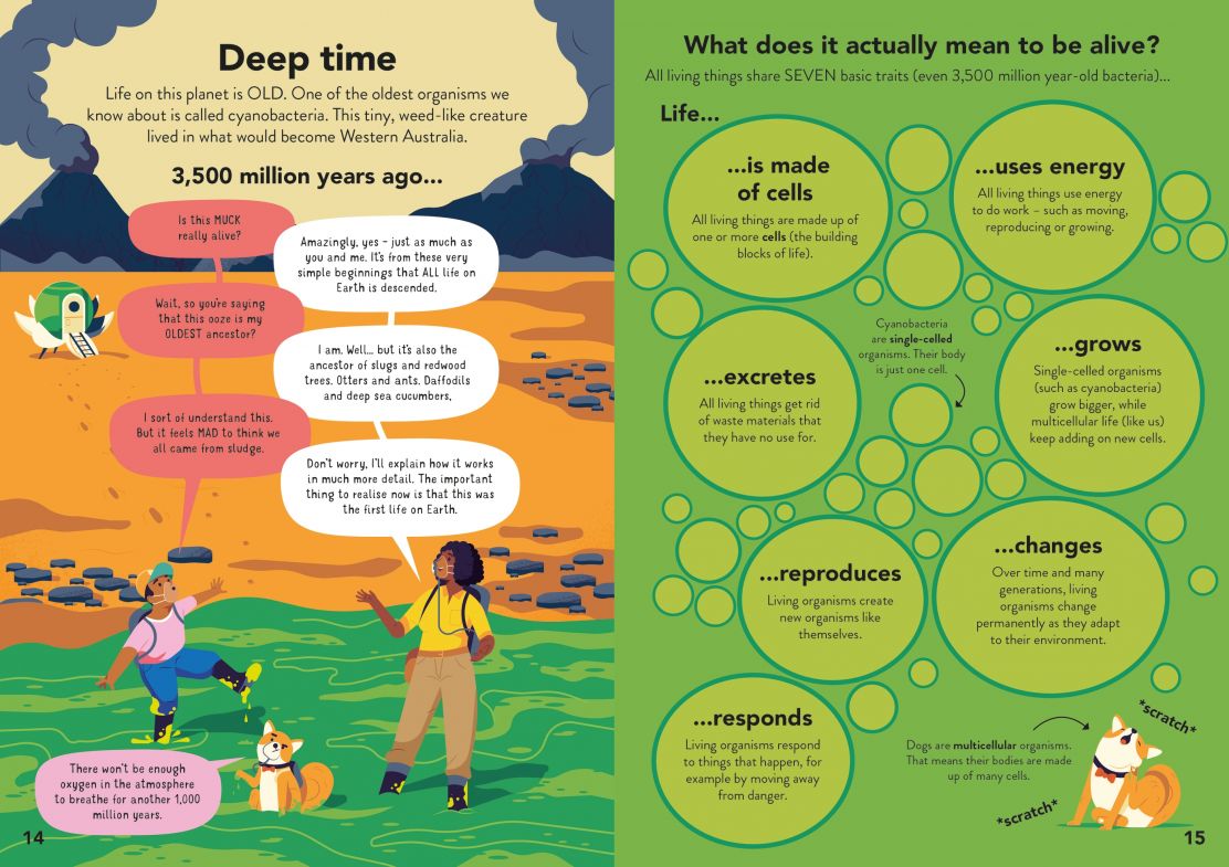 Usborne Ecology for Beginners