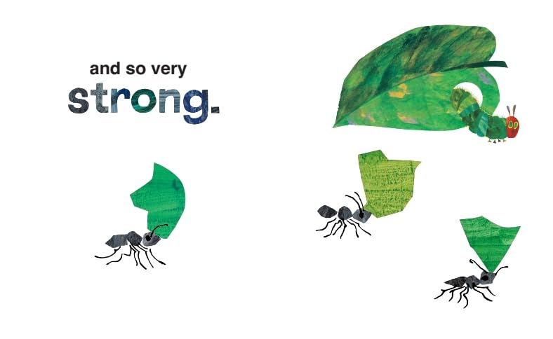 I Love Grandma with The Very Hungry Caterpillar