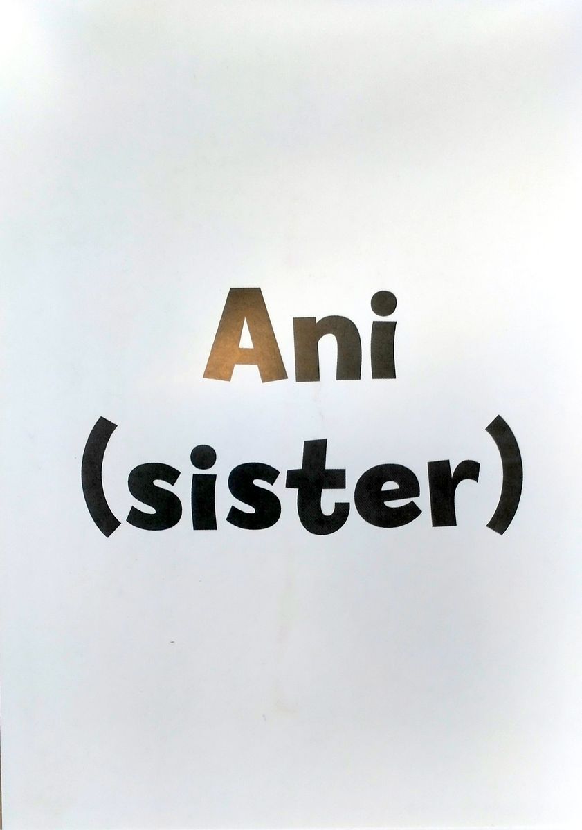 The Flibets 2 Picture Flash Cards