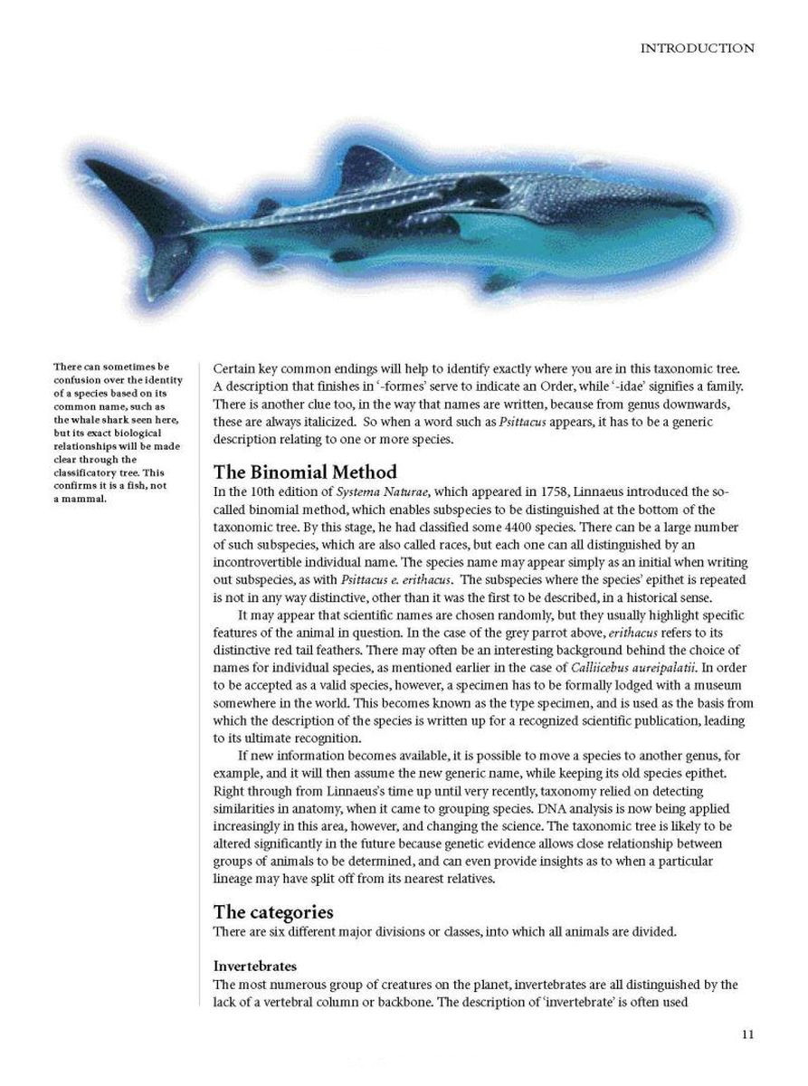 Encyclopedia of Animals
