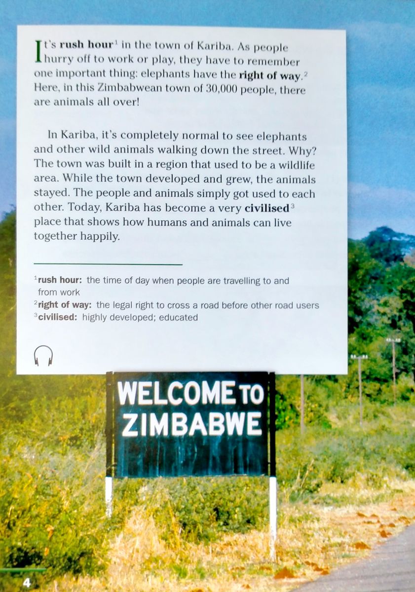 Footprint Reading Library 1600 Headwords Wild Animal Town (B1)