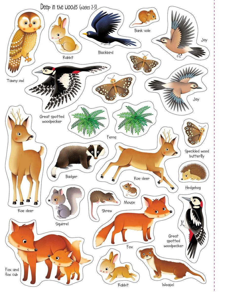 First Sticker Book Nature