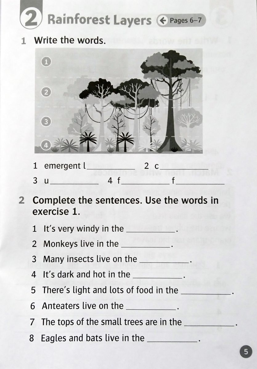 Oxford Read and Discover 3 Life in Rainforests Activity Book