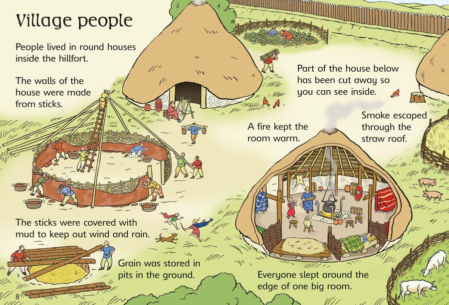 Usborne Beginners The Celts