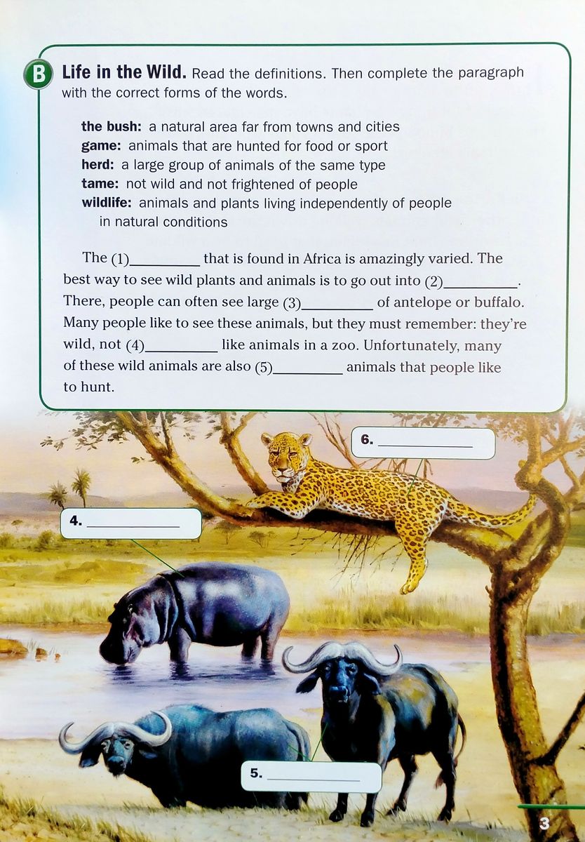 Footprint Reading Library 1600 Headwords Wild Animal Town (B1)
