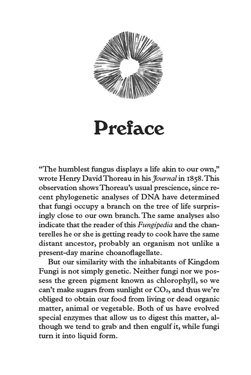 Fungipedia A Brief Compendium of Mushroom Lore