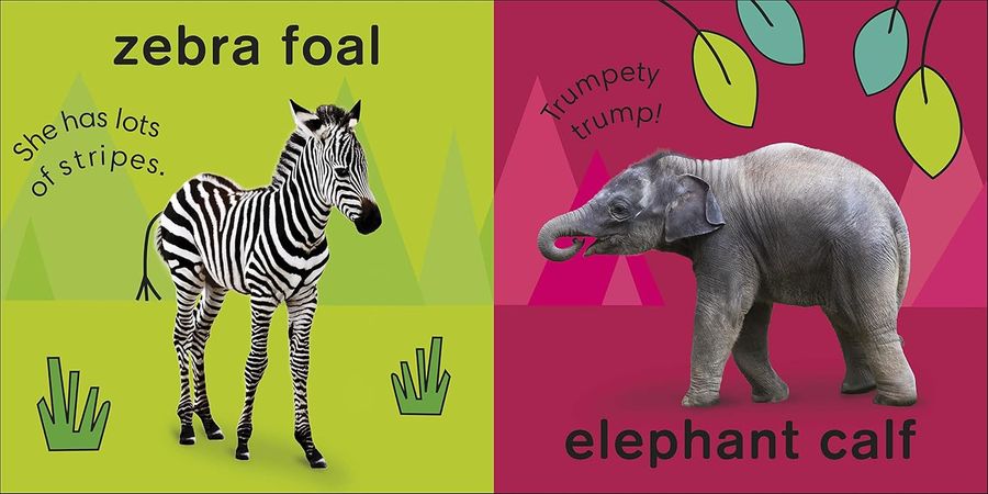 Baby's First Baby Animals