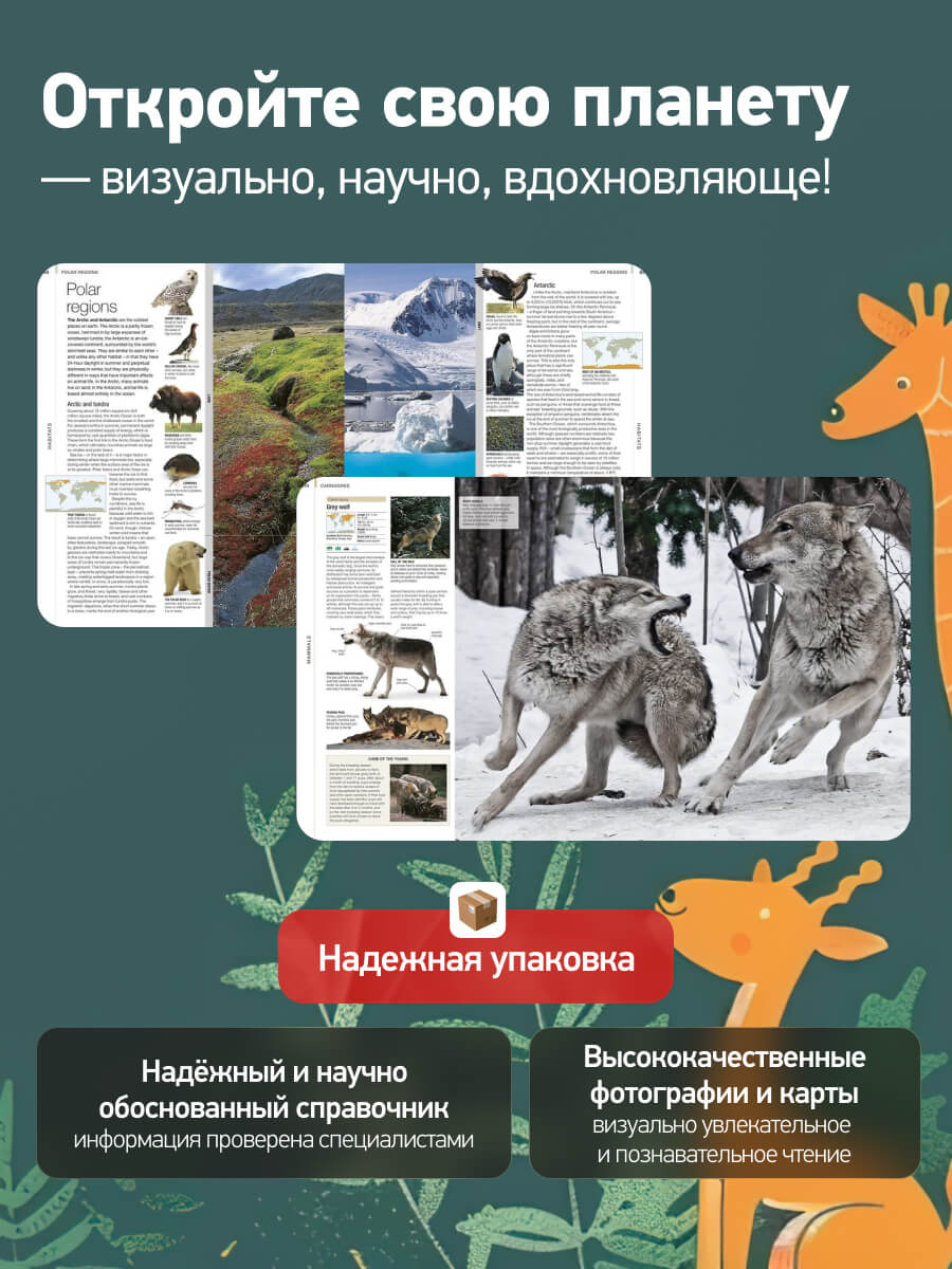 Animal The Definitive Visual Guide