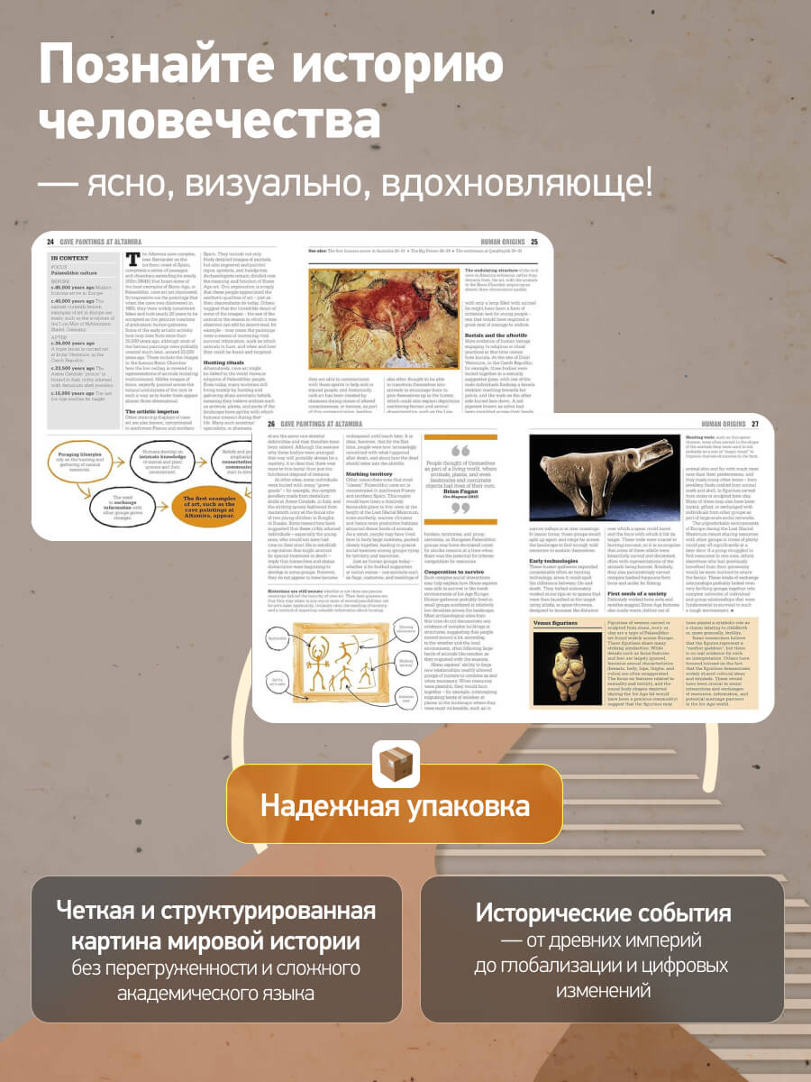 The History Book Big Ideas Simply Explained