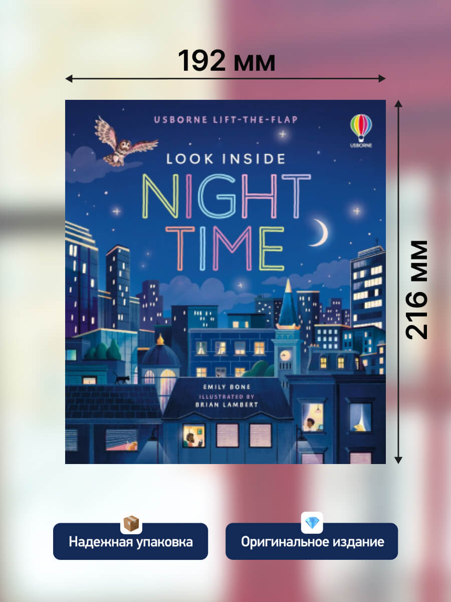Usborne Lift the Flap Look Inside Night Time