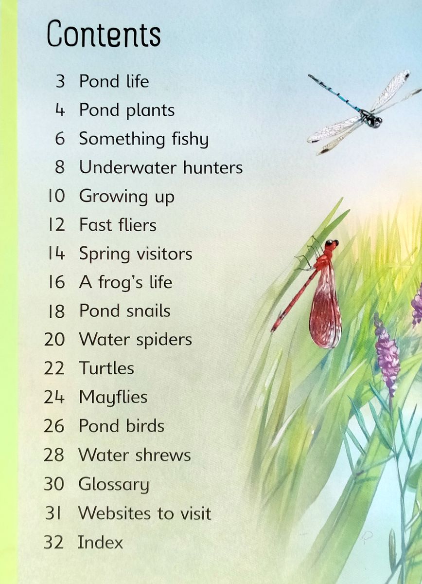 Usborne Beginners Ponds