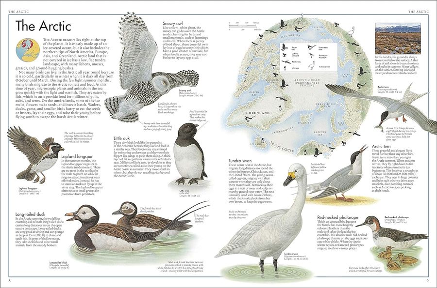 The Bird Atlas A Pictorial Guide to the World's Birdlife
