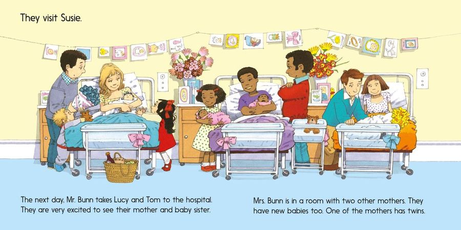 Usborne First Experiences The New Baby