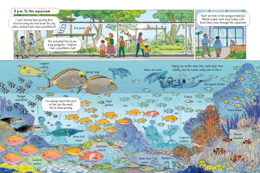 Usborne 24 Hours in a Zoo