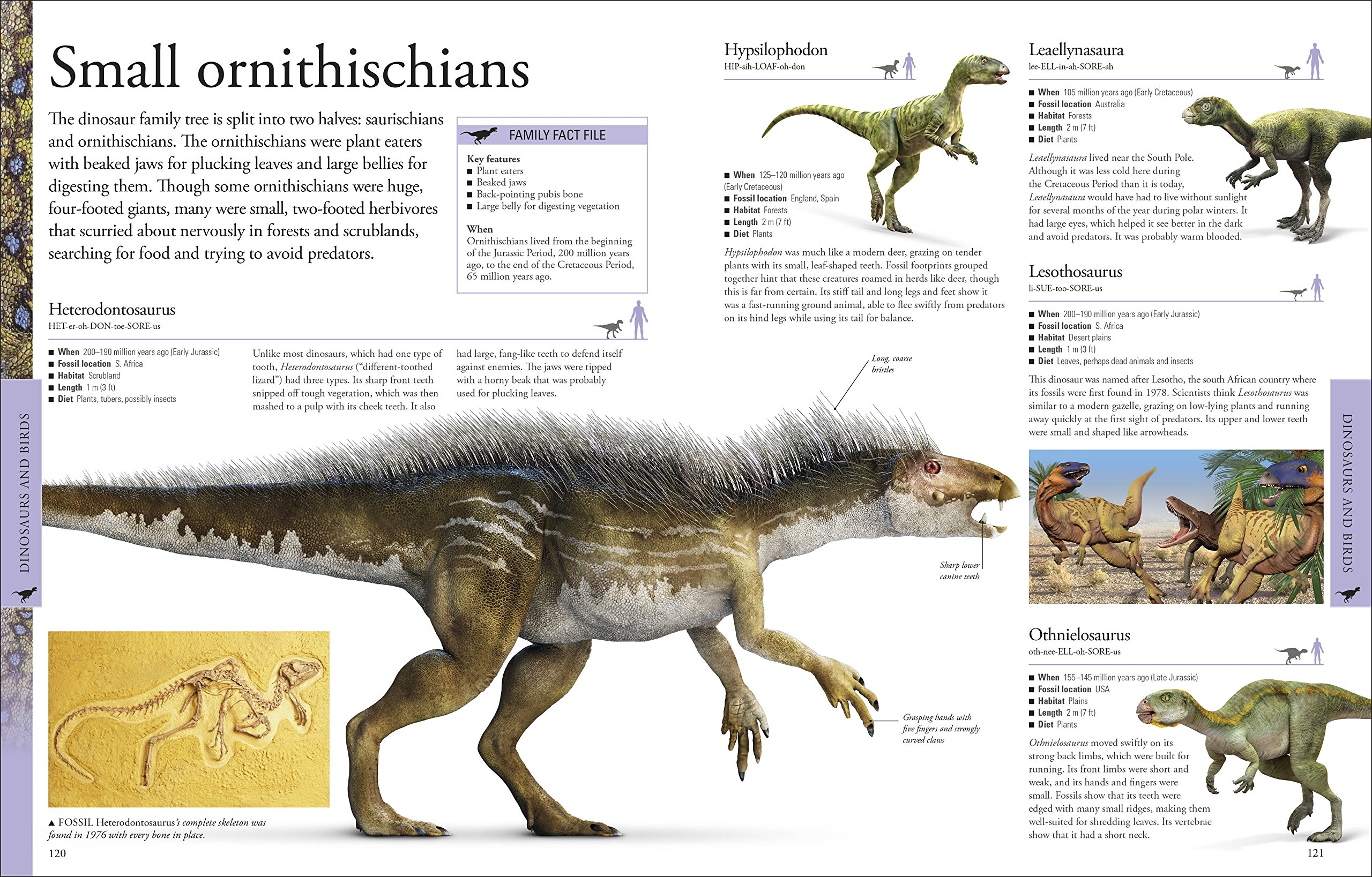 Dinosaurs A Children's Encyclopedia