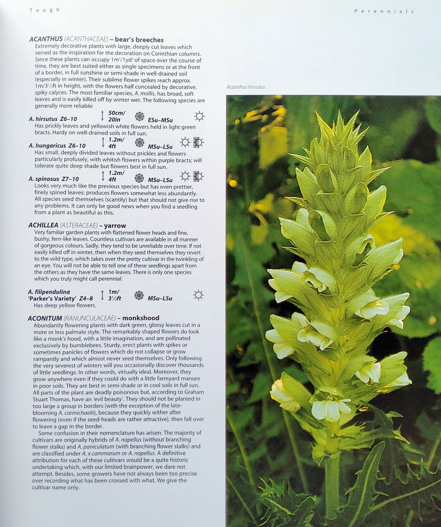 Dream Plants for the Natural Garden
