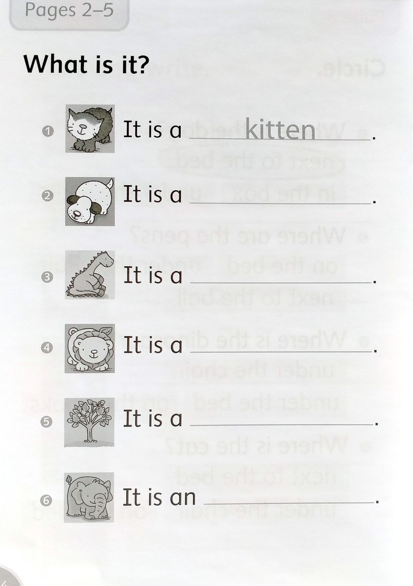Dolphin Readers 1 Where Is It Activity Book
