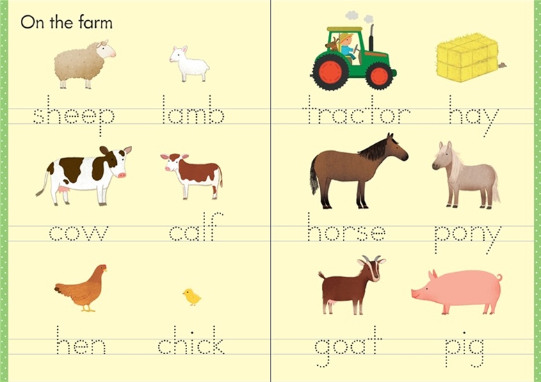 Usborne Little Wipe-Clean Word Book Outdoors
