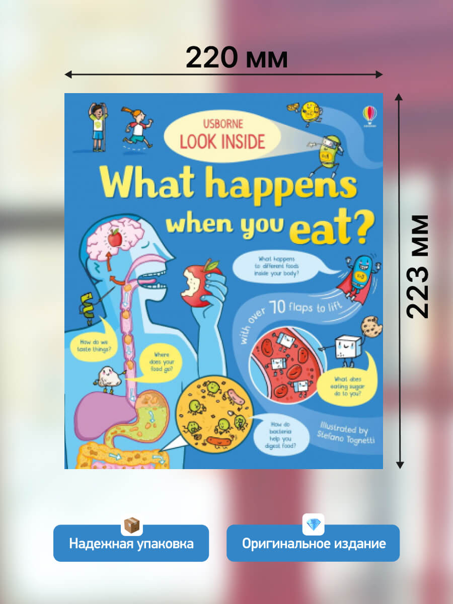 Usborne Look Inside What Happens When You Eat