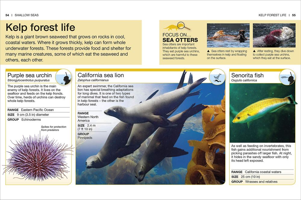 Ocean Facts at Your Fingertips