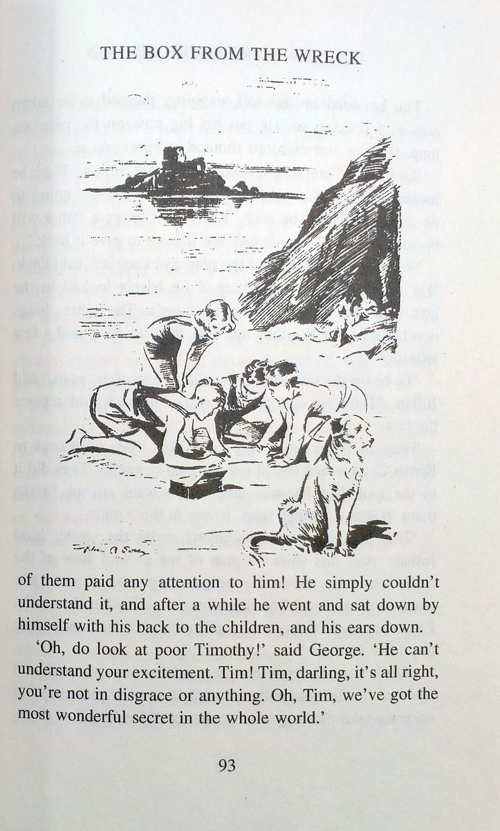 The Famous Five Collection 1 Books 1-3