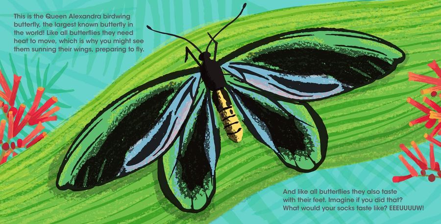 Lifesize Creepy Crawlies World Book Day 2023