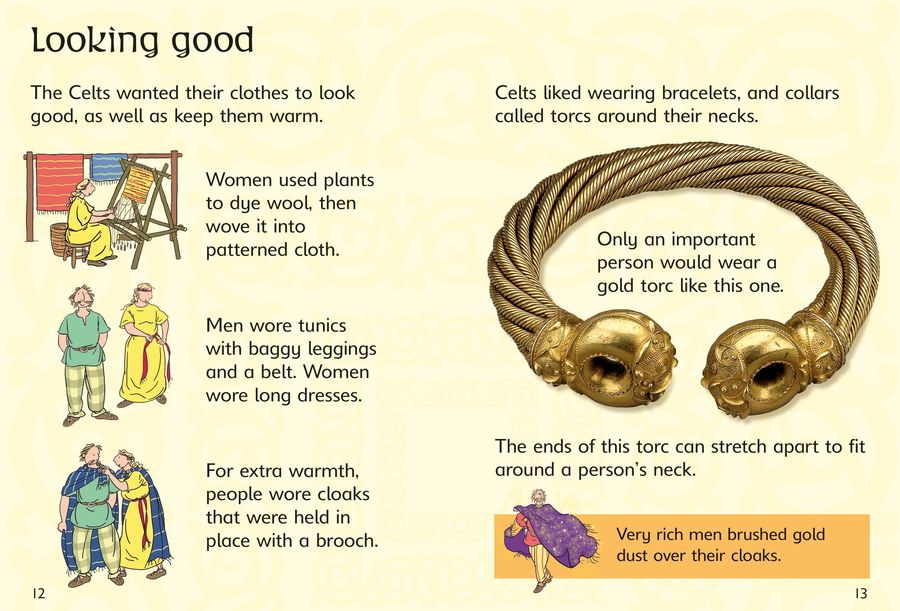 Usborne Beginners The Celts