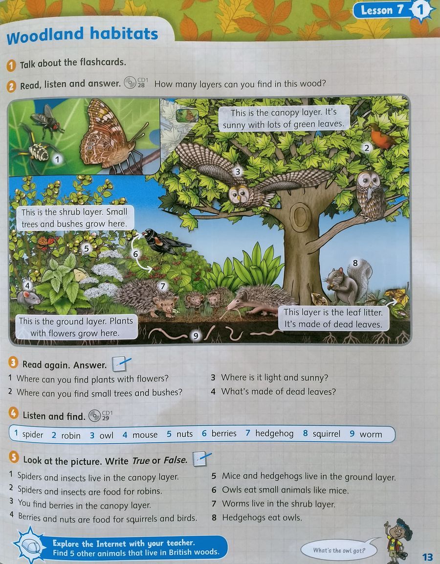 World Explorers 1 Class Book