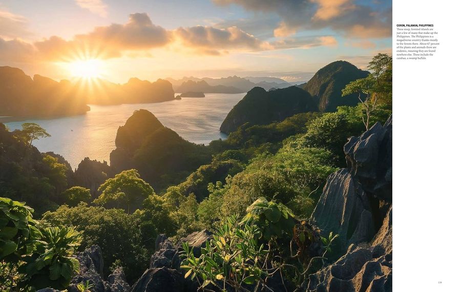 Natural History of the World A Photographic Exploration of Earth's Animals, Plants and Landscapes