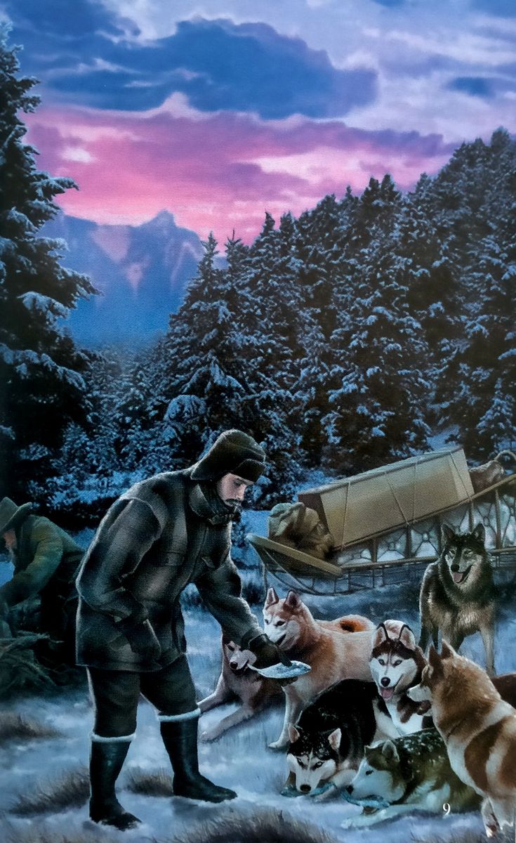 Classic Readers 1 White Fang Reader with Digibook