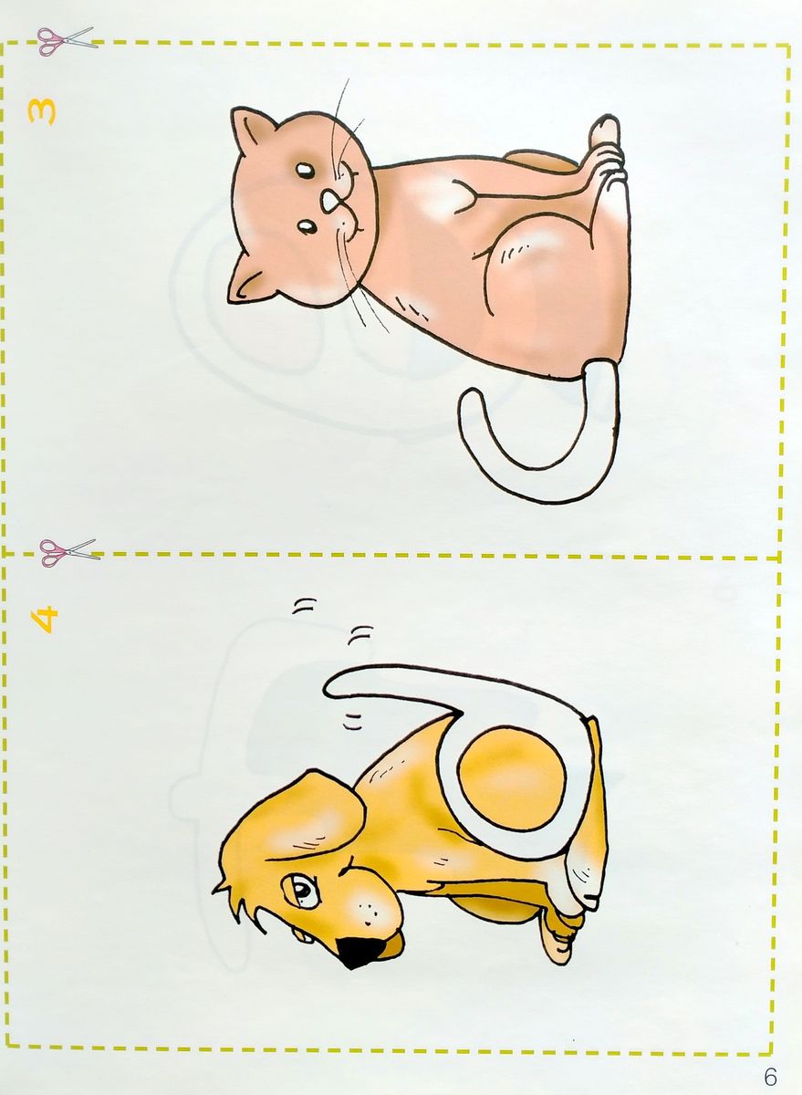 Letterfun Flashcards