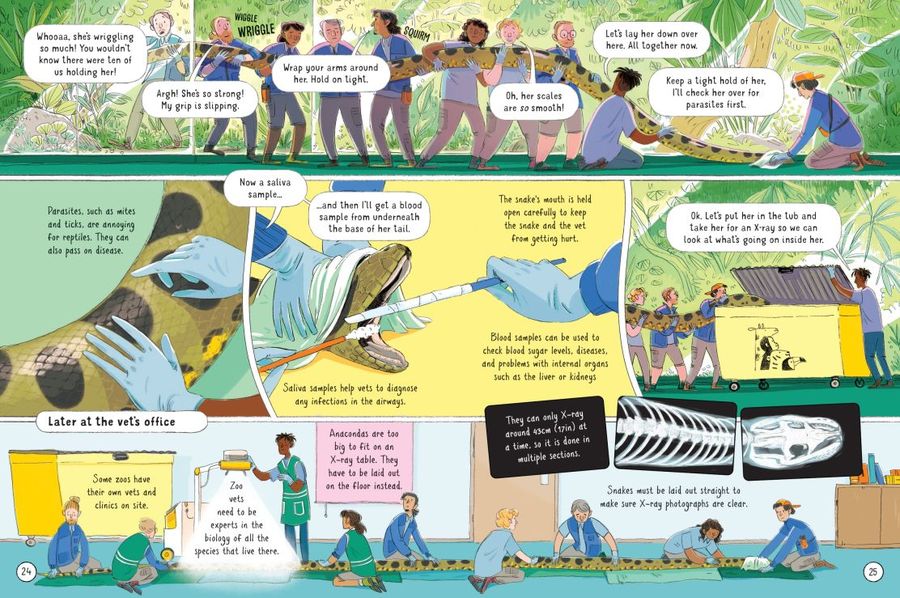 Usborne 24 Hours in a Zoo