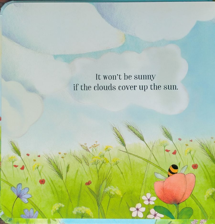 Usborne Little Board Books The Sunny Day