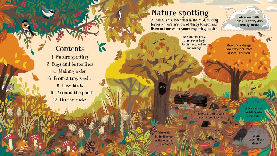 Usborne Look Inside Nature
