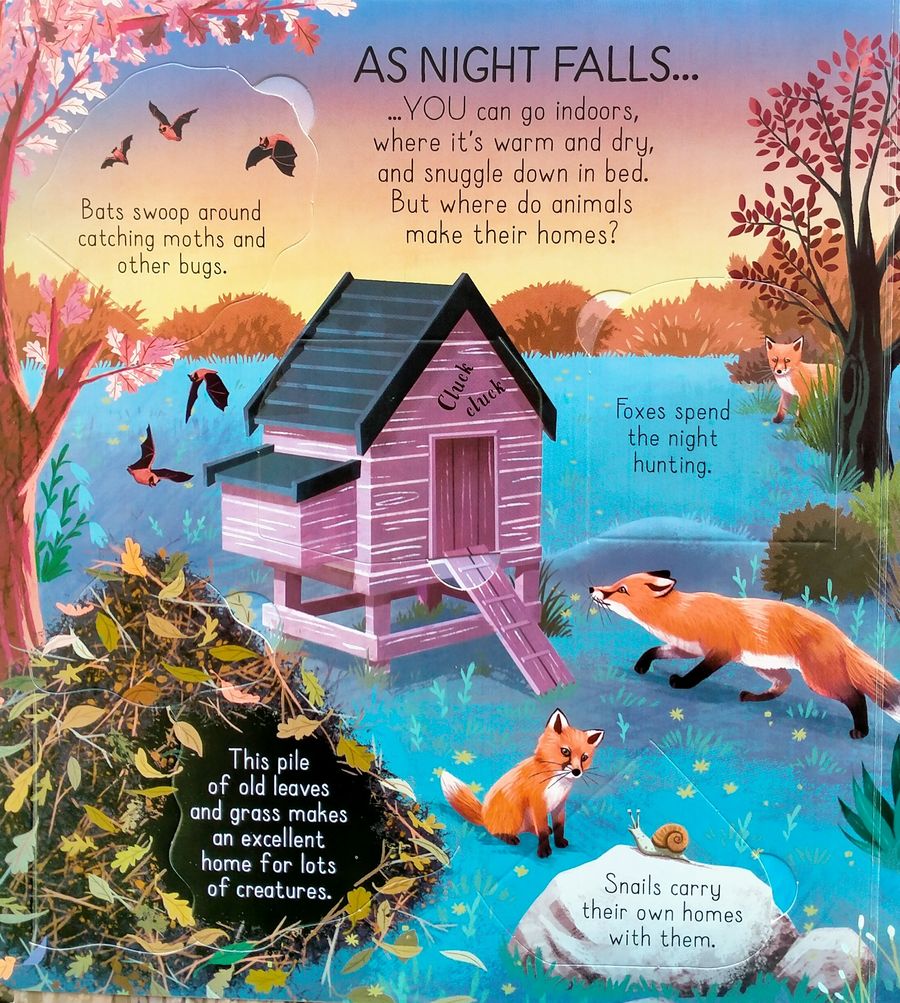 Usborne Look Inside Animal Homes