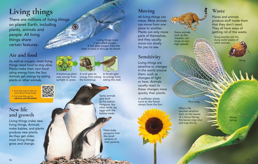 Usborne First Encyclopedia of Science Hardback