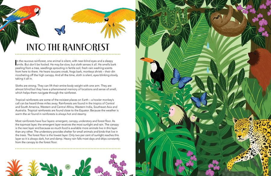 Nature A Magical Journey Through the Year