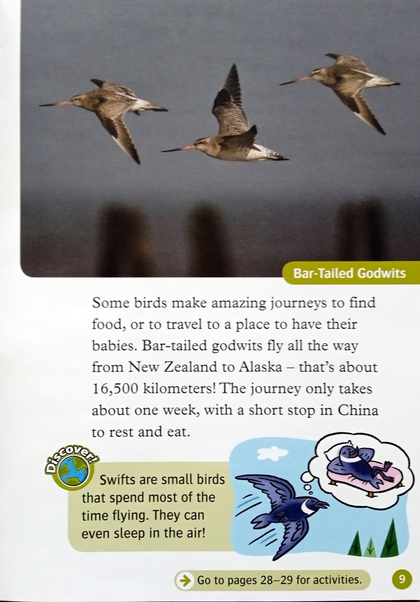 Oxford Read and Discover 3 Animals in the Air with Audio Download (access card inside)