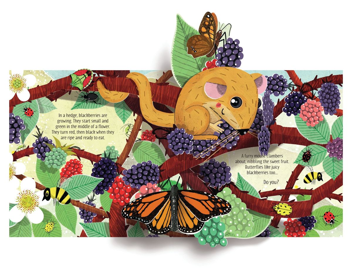 Usborne Pop-Up Nature