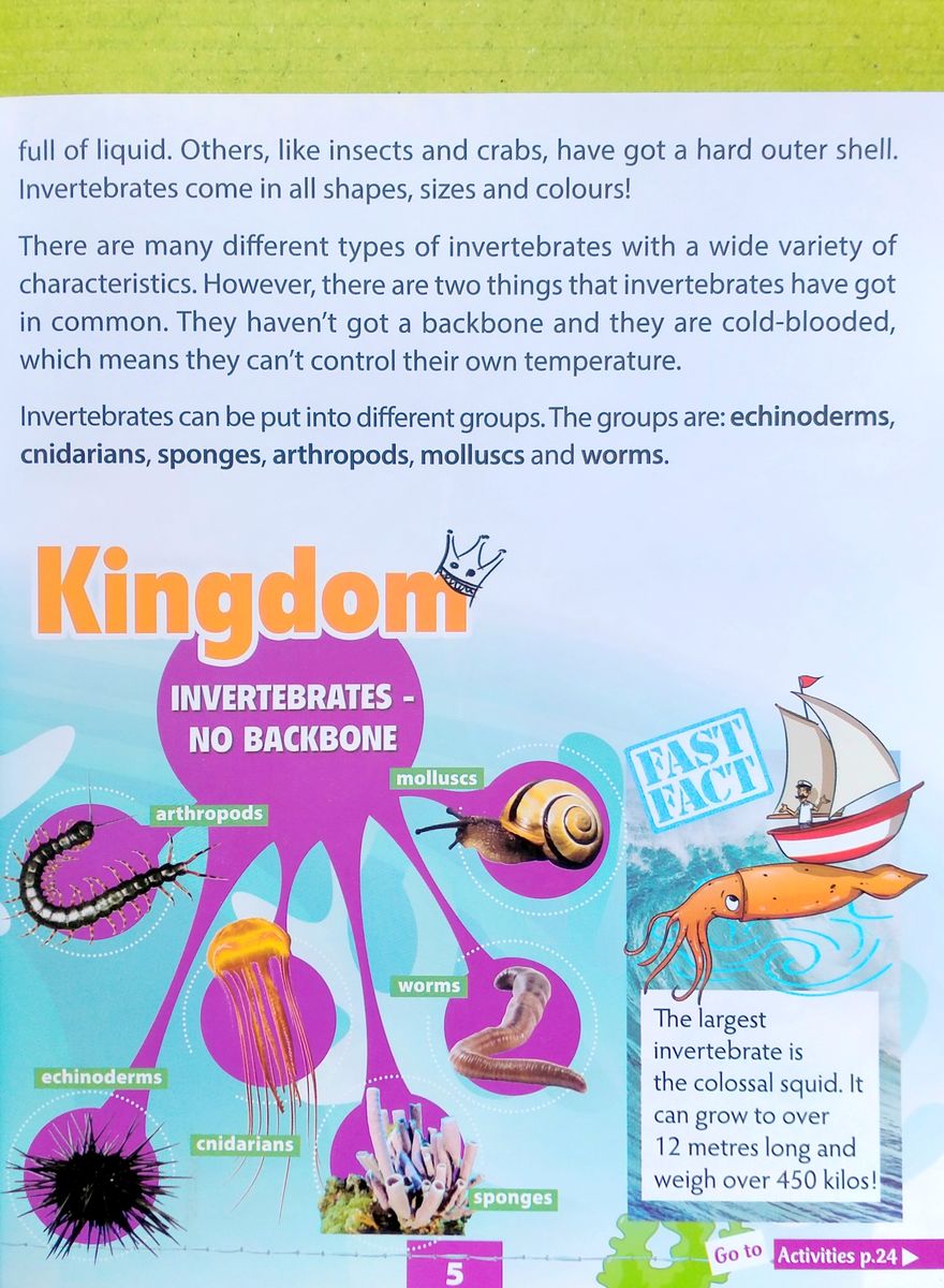 Explore Our World CLIL Readers 3 No Bones with Digibook
